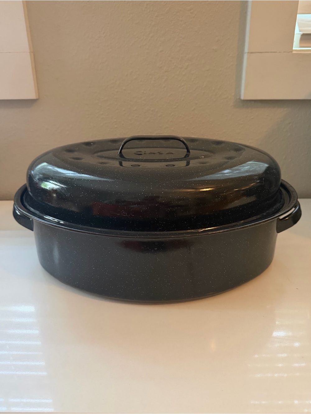 Black turkey Roasting Pan with Lid - Home Kitchen